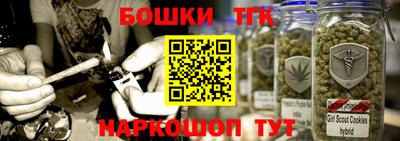 МДПВ Лесосибирск