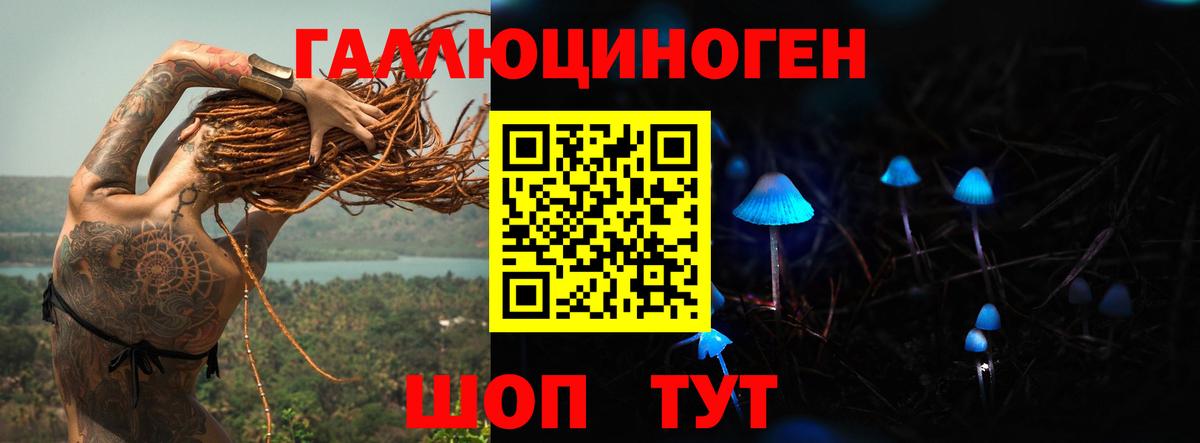 Псилоцибиновые грибы GOLDEN TEACHER  Псилоцибиновые грибы Cubensis  Ялта  Вход с VPN 